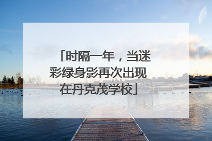 时隔一年，当迷彩绿身影再次出现在丹克茂学校