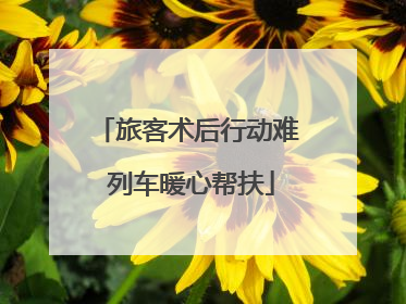 旅客术后行动难 列车暖心帮扶