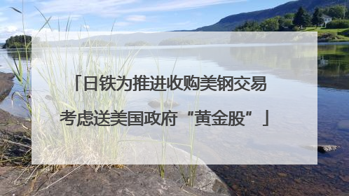 日铁为推进收购美钢交易 考虑送美国政府“黄金股”