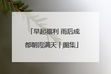 早起福利 雨后成都朝霞满天｜图集