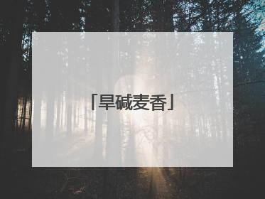 旱碱麦香
