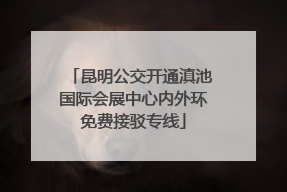 昆明公交开通滇池国际会展中心内外环免费接驳专线