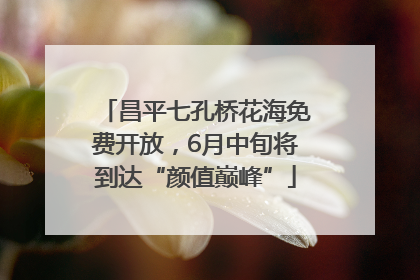 昌平七孔桥花海免费开放，6月中旬将到达“颜值巅峰”