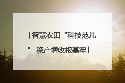智慧农田“科技范儿” 稳产增收根基牢