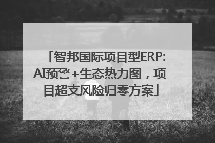 智邦国际项目型ERP:AI预警+生态热力图，项目超支风险归零方案