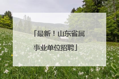 最新！山东省属事业单位招聘