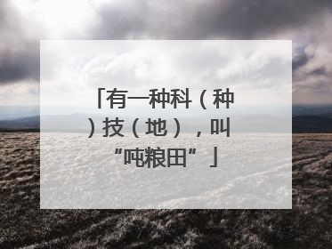 有一种科（种）技（地），叫“吨粮田”