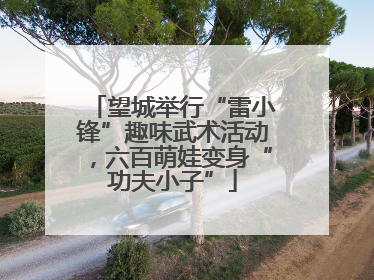 望城举行“雷小锋”趣味武术活动，六百萌娃变身“功夫小子”