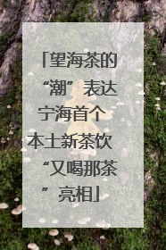 望海茶的“潮”表达 宁海首个本土新茶饮“又喝那茶”亮相