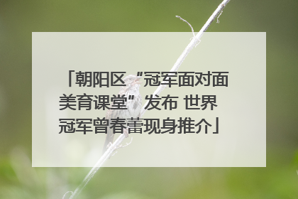 朝阳区“冠军面对面美育课堂”发布 世界冠军曾春蕾现身推介