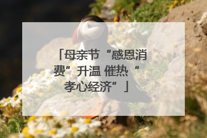 母亲节“感恩消费”升温 催热“孝心经济”