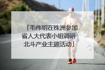 毛伟明在株洲参加省人大代表小组调研北斗产业主题活动