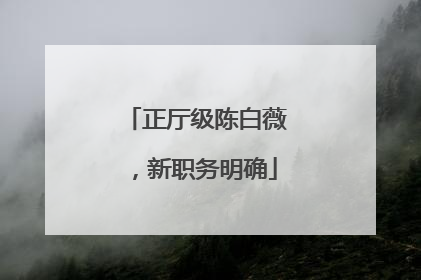 正厅级陈白薇，新职务明确
