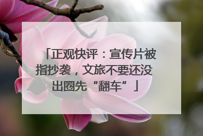 正观快评：宣传片被指抄袭，文旅不要还没出圈先“翻车”