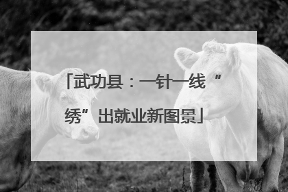 武功县：一针一线“绣”出就业新图景