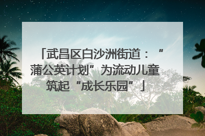 武昌区白沙洲街道：“蒲公英计划”为流动儿童筑起“成长乐园”