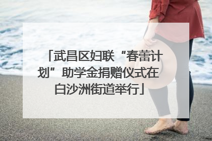 武昌区妇联“春蕾计划”助学金捐赠仪式在白沙洲街道举行
