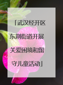 武汉经开区东荆街道开展关爱困境和留守儿童活动