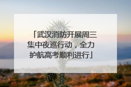 武汉消防开展周三集中夜巡行动，全力护航高考顺利进行