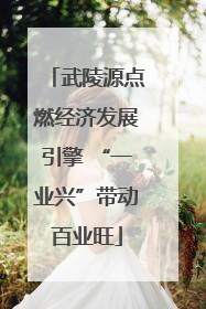 武陵源点燃经济发展引擎 “一业兴”带动百业旺