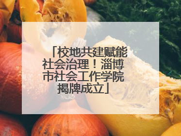 校地共建赋能社会治理！淄博市社会工作学院揭牌成立