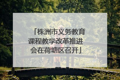 株洲市义务教育课程教学改革推进会在荷塘区召开