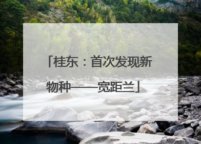 桂东：首次发现新物种——宽距兰