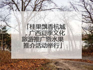 桂果飘香杭城，广西夏季文化旅游推广暨水果推介活动举行