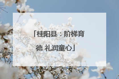 桂阳县：阶梯育德 礼润童心