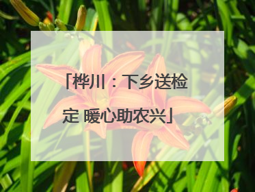 桦川：下乡送检定 暖心助农兴