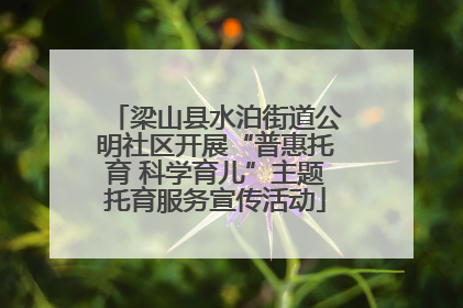 梁山县水泊街道公明社区开展“普惠托育 科学育儿”主题托育服务宣传活动