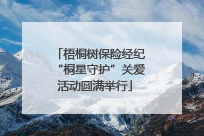 梧桐树保险经纪“桐星守护”关爱活动圆满举行