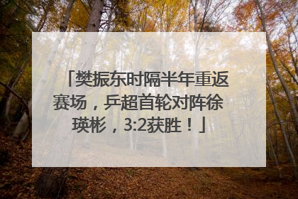 樊振东时隔半年重返赛场，乒超首轮对阵徐瑛彬，3:2获胜！