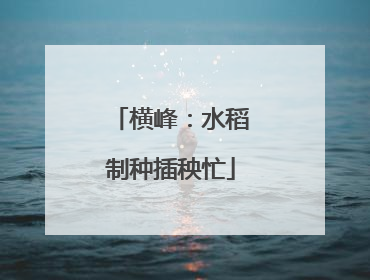 横峰：水稻制种插秧忙