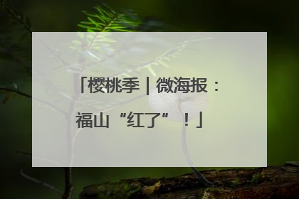 樱桃季｜微海报：福山“红了”！