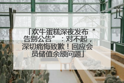 欢牛蛋糕深夜发布“告别公告”：对不起，深切痛悔致歉！回应会员储值余额问题