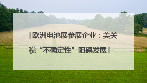 欧洲电池展参展企业：美关税“不确定性”阻碍发展