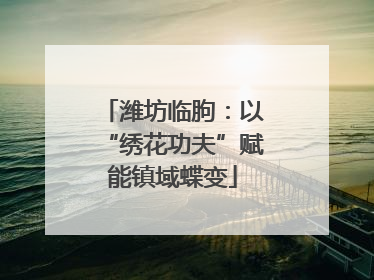 潍坊临朐：以“绣花功夫”赋能镇域蝶变