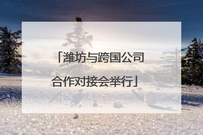 潍坊与跨国公司合作对接会举行