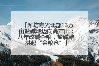潍坊寿光北部13万亩盐碱地迈向高产田：八年改碱夺粮，盐碱滩拱起“金粮仓”