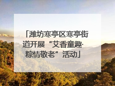 潍坊寒亭区寒亭街道开展“艾香童趣·粽情敬老”活动