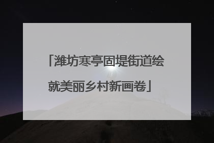 潍坊寒亭固堤街道绘就美丽乡村新画卷