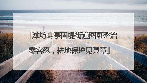 潍坊寒亭固堤街道图斑整治零容忍，耕地保护见真章