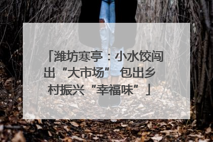 潍坊寒亭：小水饺闯出“大市场” 包出乡村振兴“幸福味”