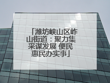 潍坊峡山区岞山街道：聚力集采谋发展 便民惠民办实事