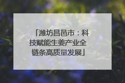 潍坊昌邑市：科技赋能生姜产业全链条高质量发展
