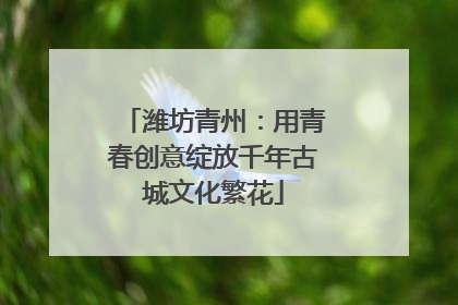 潍坊青州：用青春创意绽放千年古城文化繁花