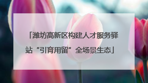 潍坊高新区构建人才服务驿站“引育用留”全场景生态
