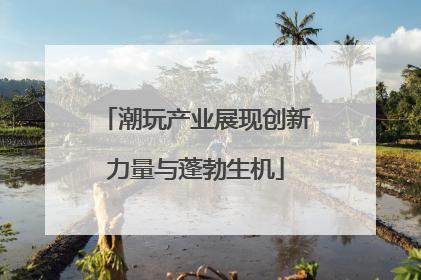 潮玩产业展现创新力量与蓬勃生机