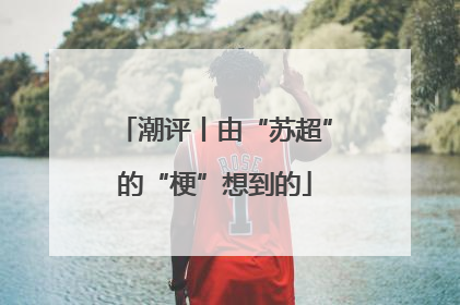 潮评丨由“苏超”的“梗”想到的